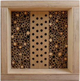 BEEBOX